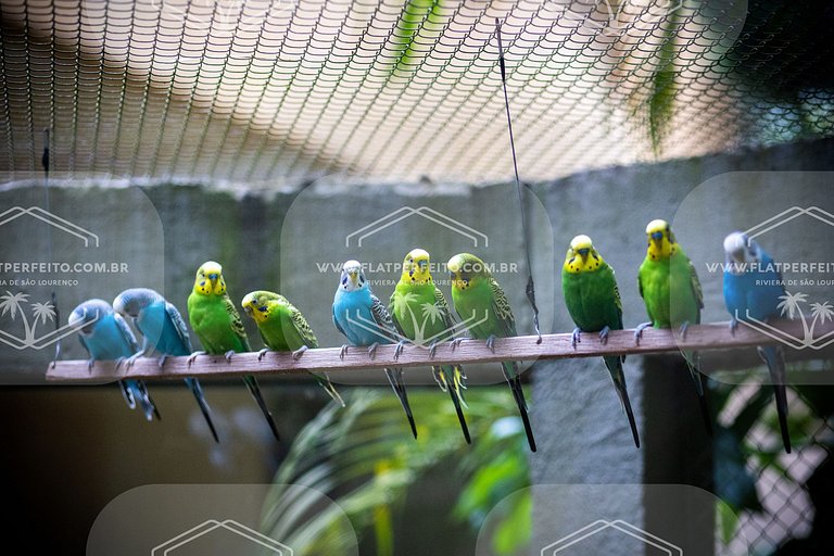 Flat Perfeito - Amarilis Riviera São Lourenço 324 suíte com